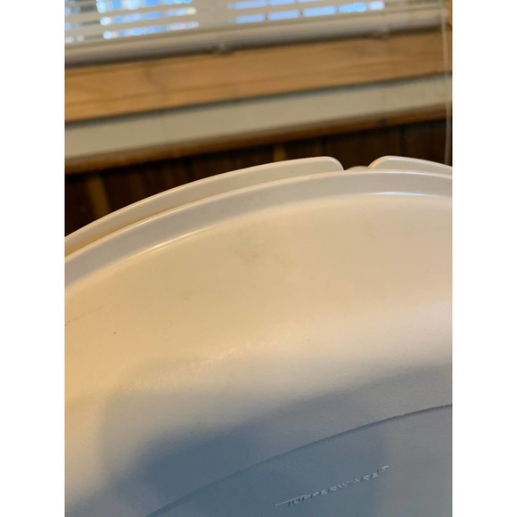 Tupperware divided vegetable chip and dip tray with lid - Picture 10 of 14